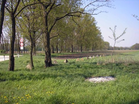 Foto 43